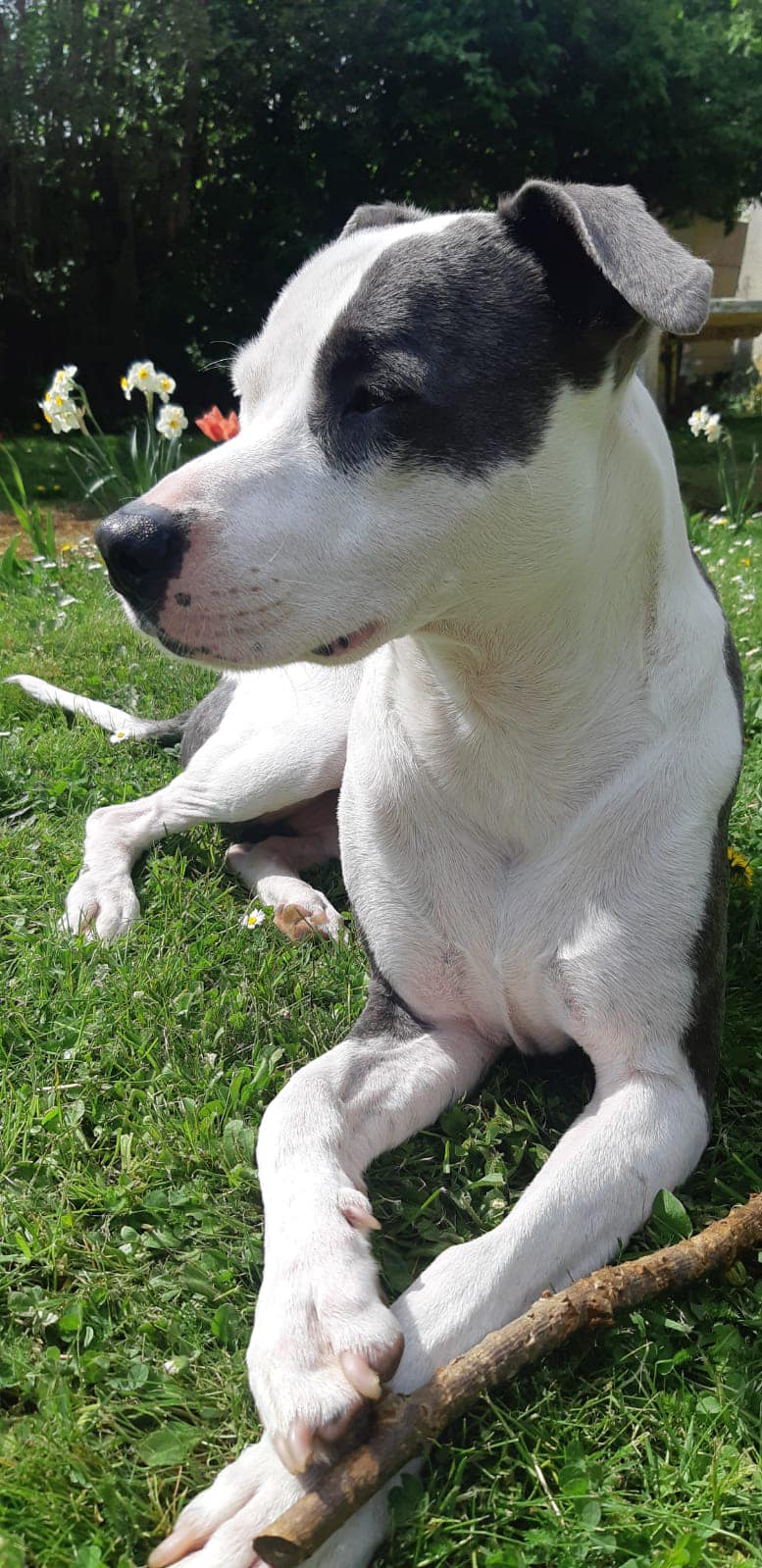 marley/photo-1751004548286-07.jpg