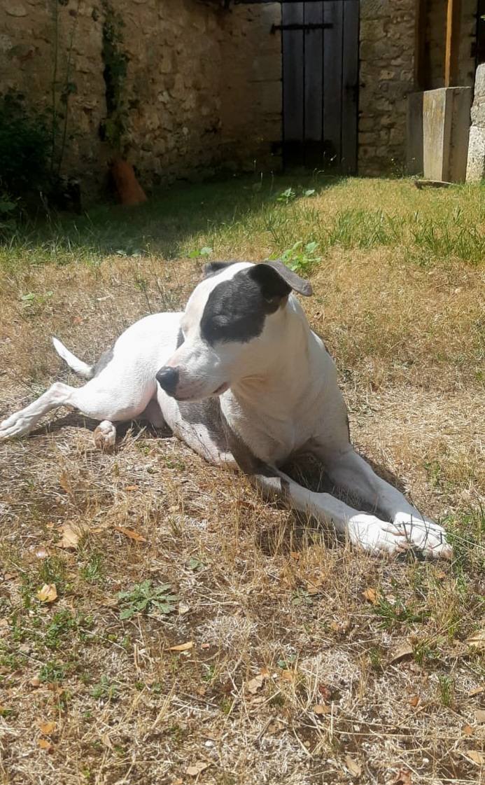 marley/photo-1756364868927-04.jpg