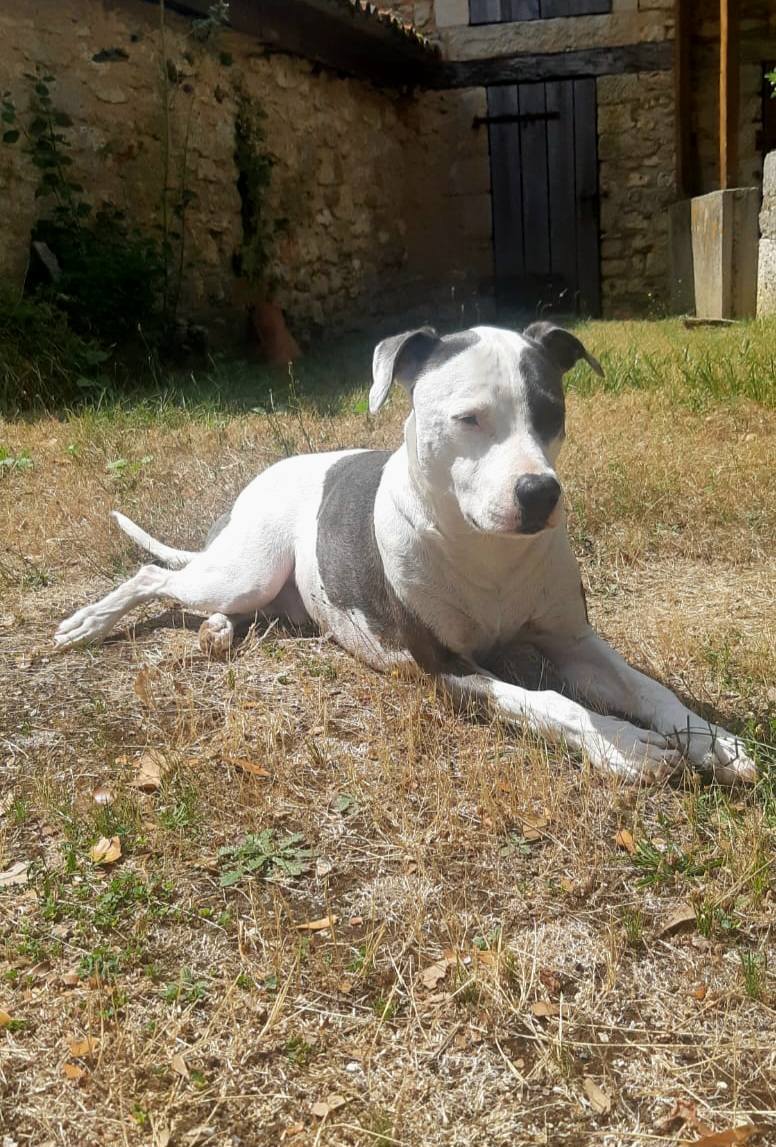 marley/photo-1756364873193-08.jpg
