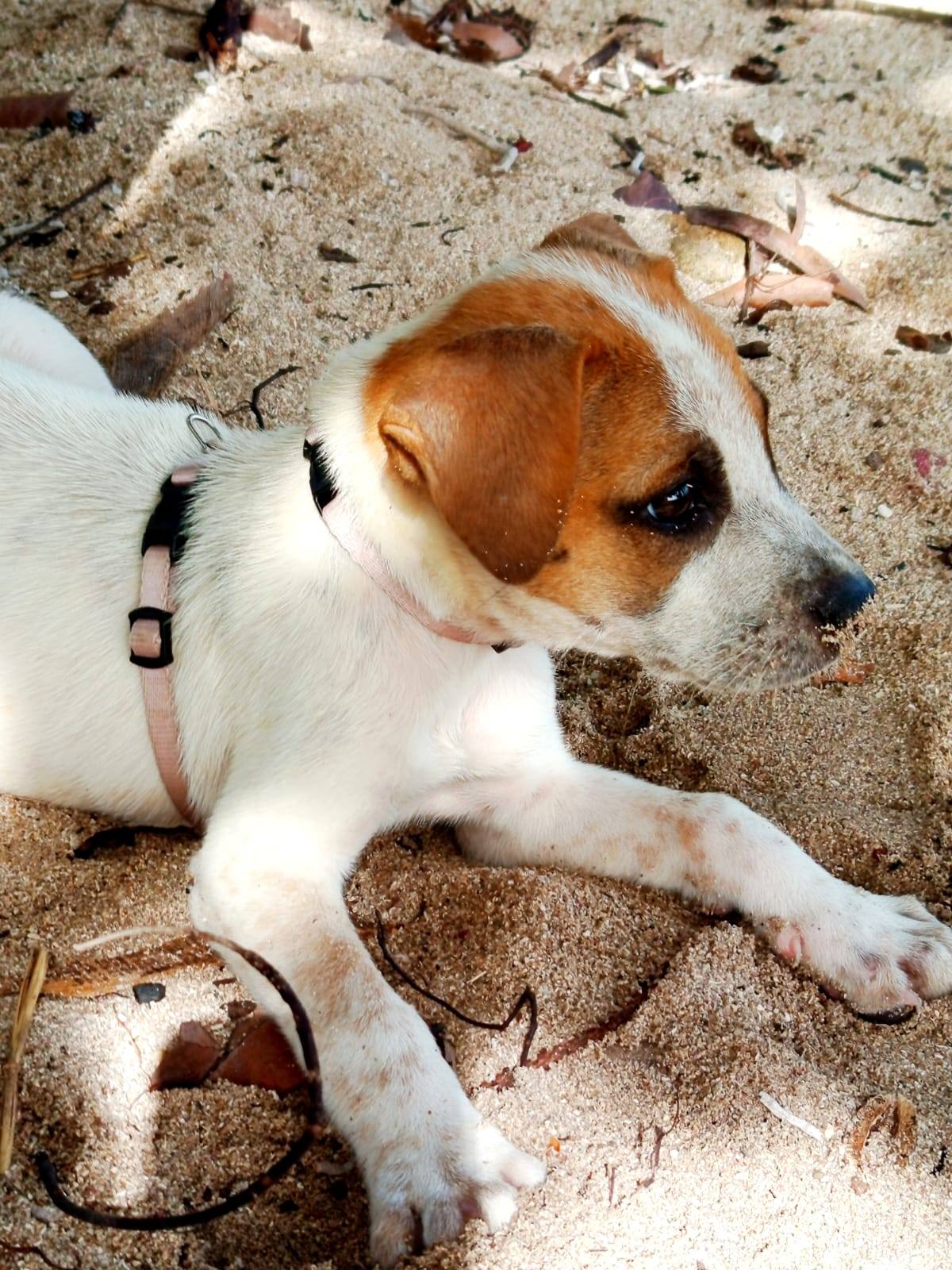 molly/photo-1751004184533-04.jpg
