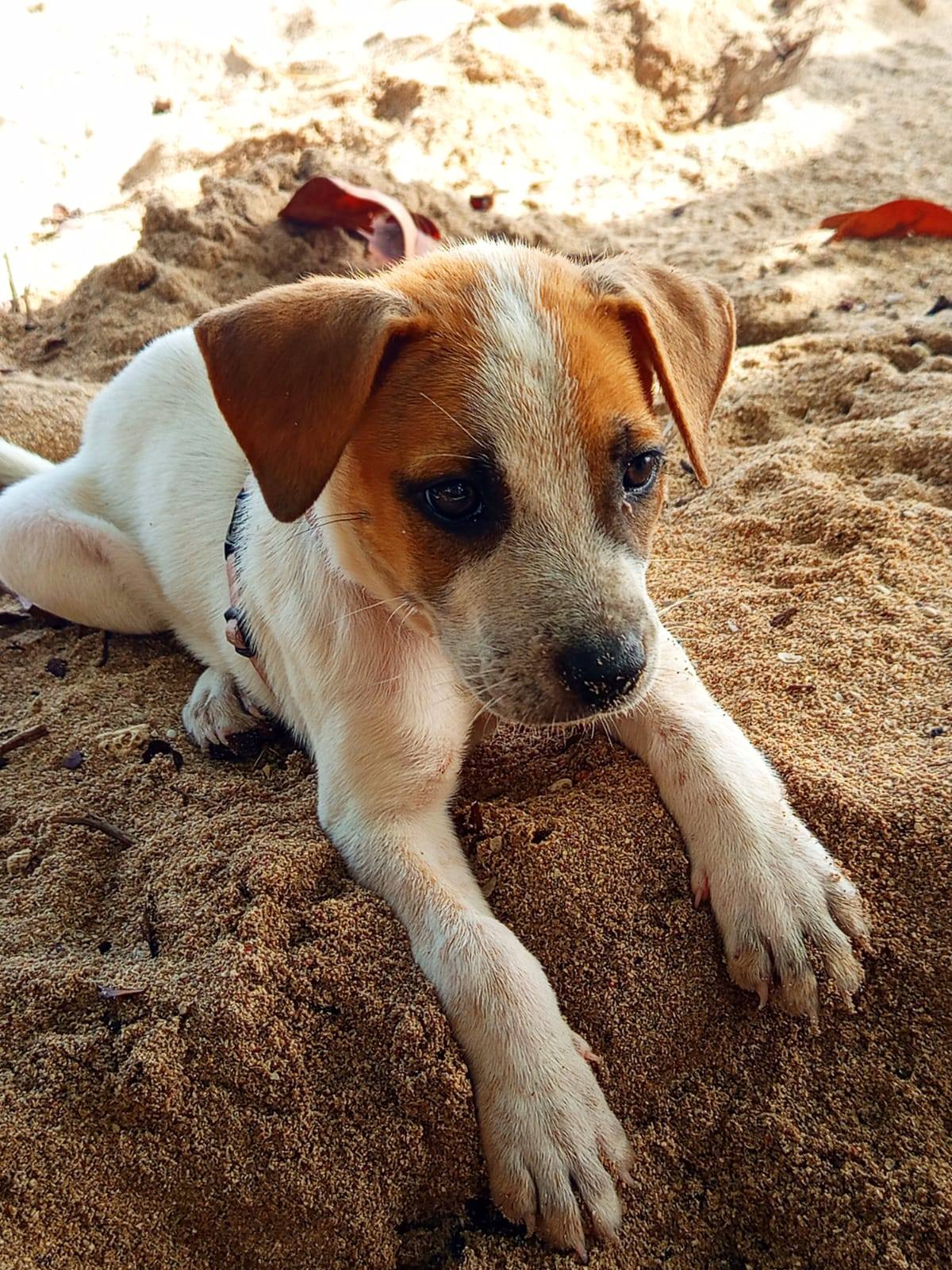 molly/photo-1751004191496-10.jpg