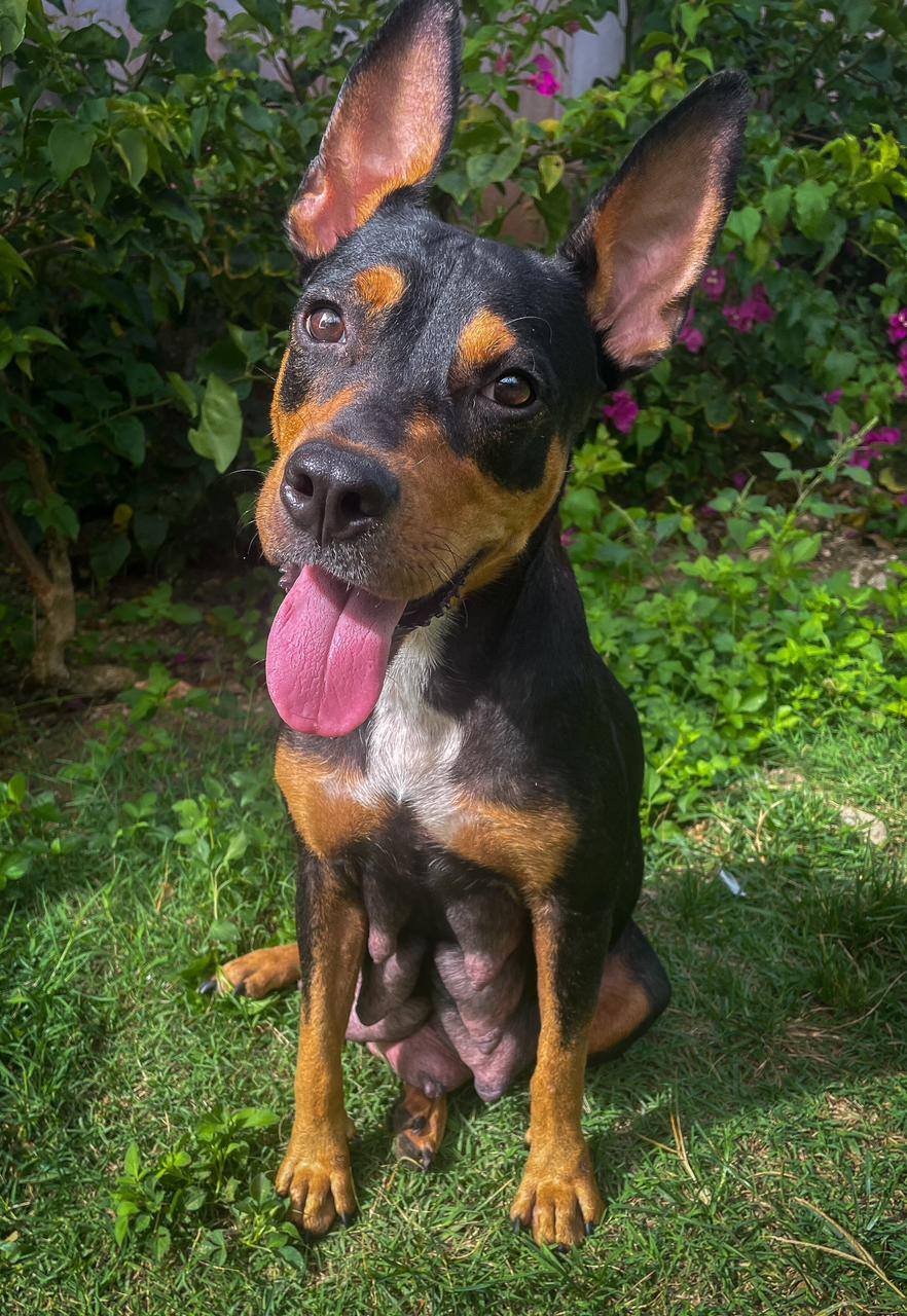 nala/photo-1756364746397-01.jpg