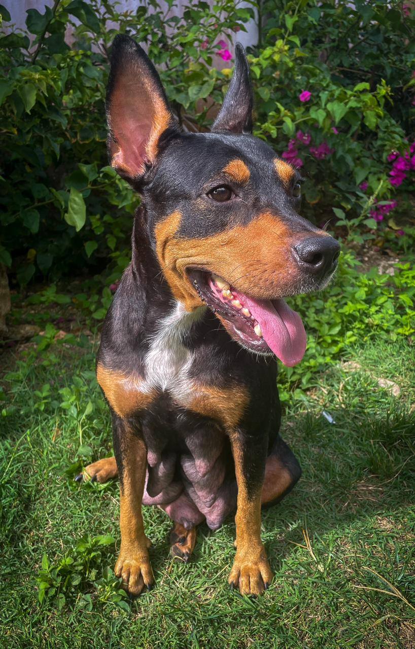 nala/photo-1756364747445-02.jpg