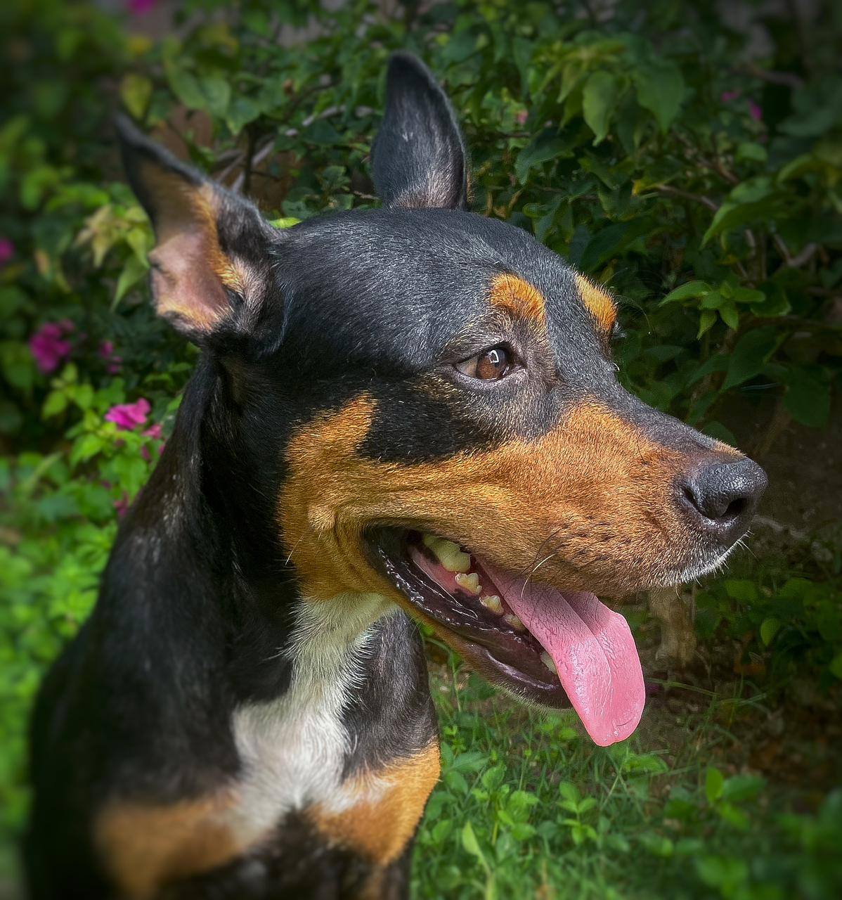 nala/photo-1756364748493-03.jpg