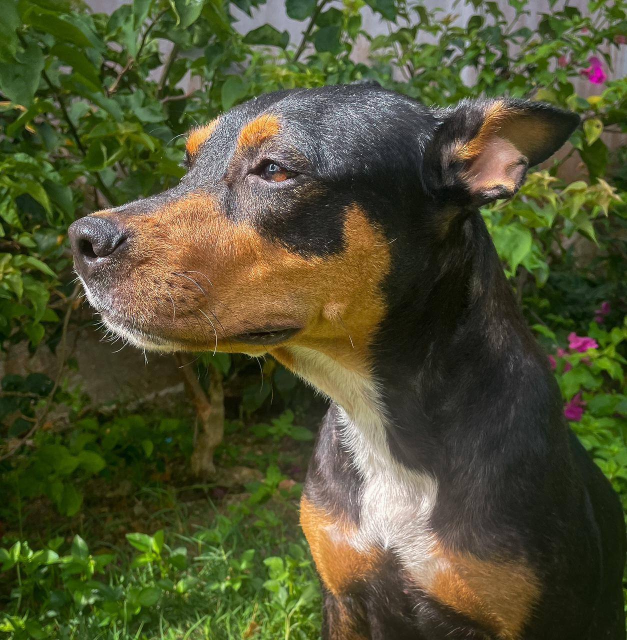 nala/photo-1756364749548-04.jpg