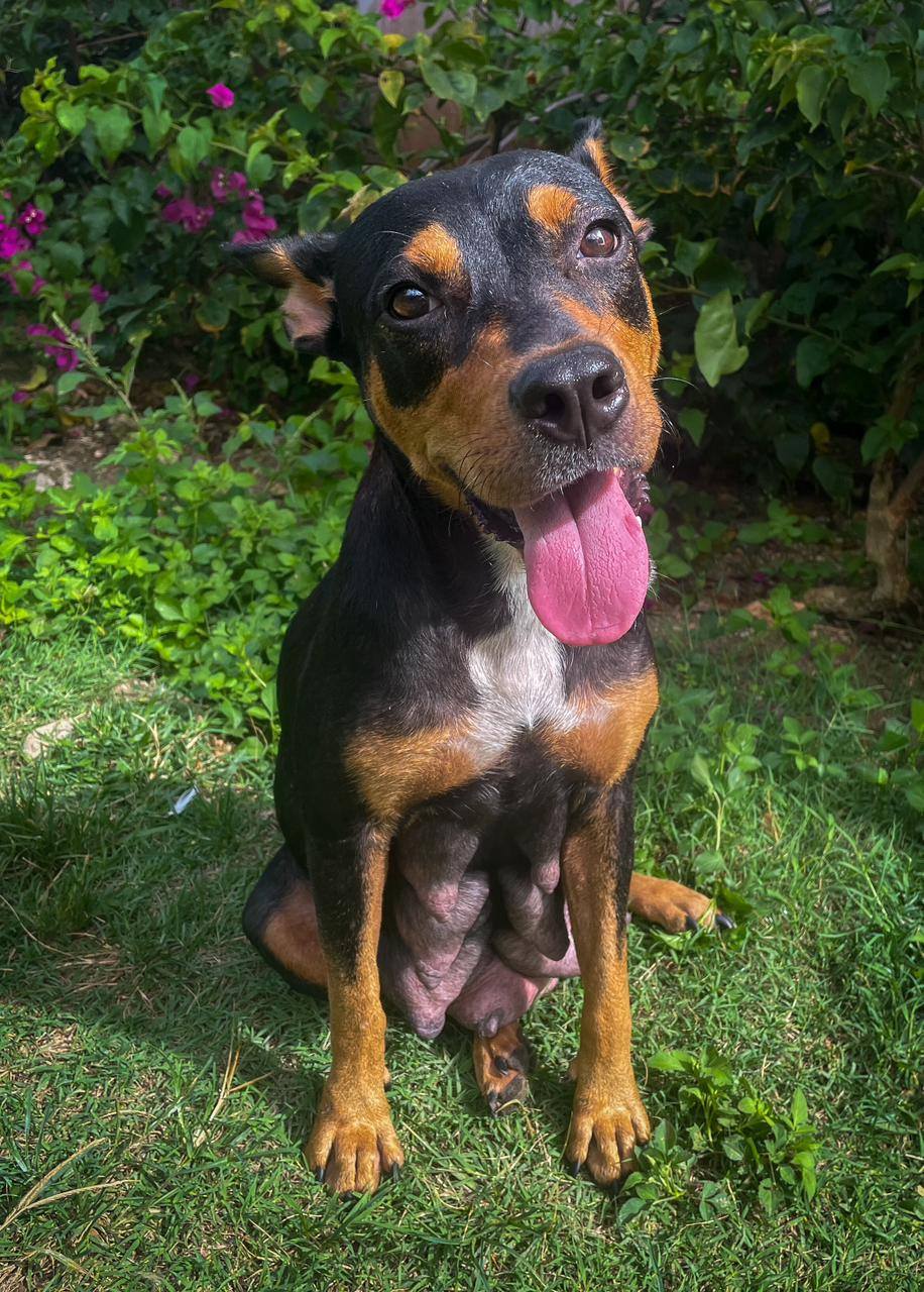 nala/photo-1756364750603-05.jpg