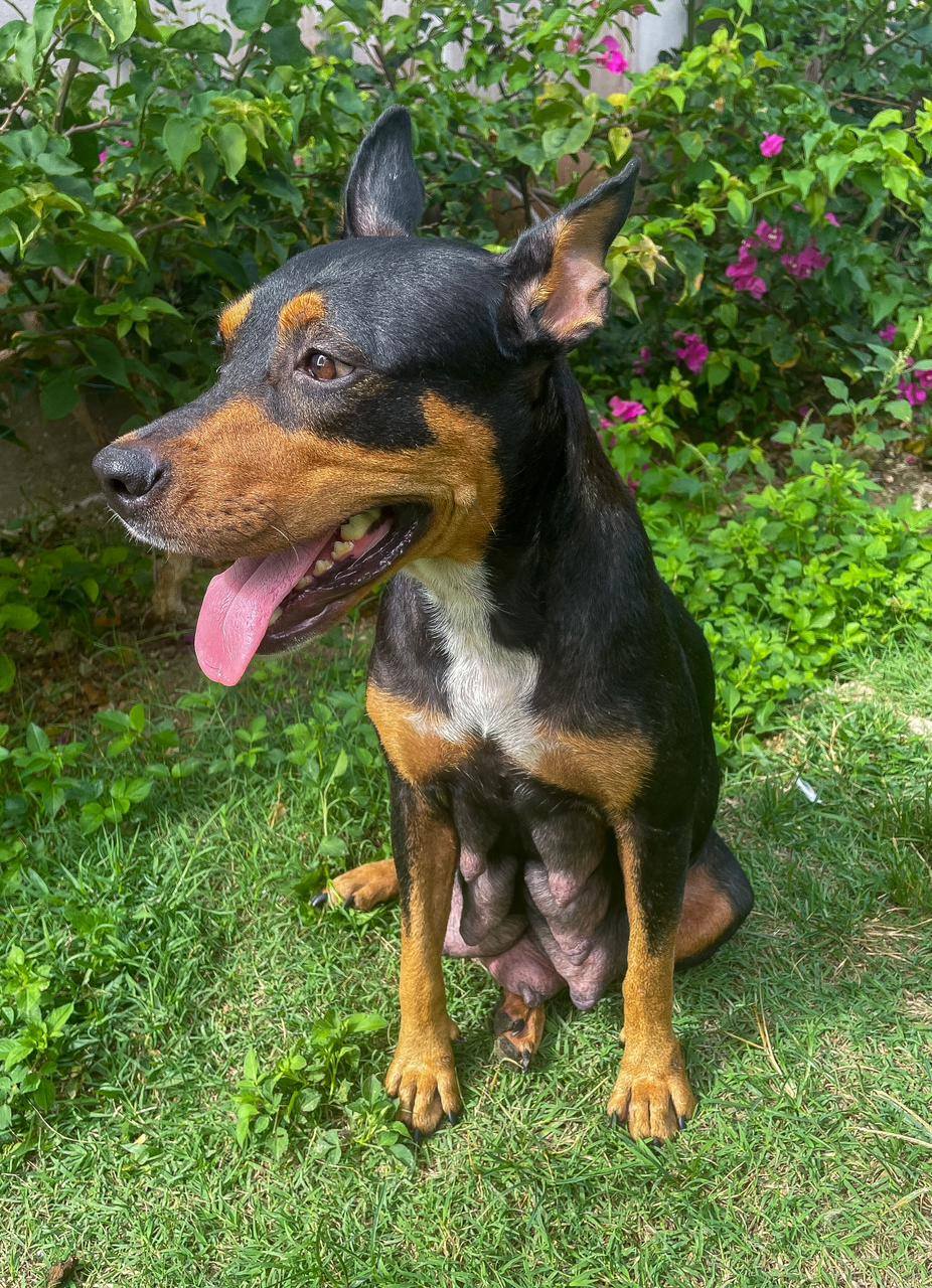 nala/photo-1756364751667-06.jpg