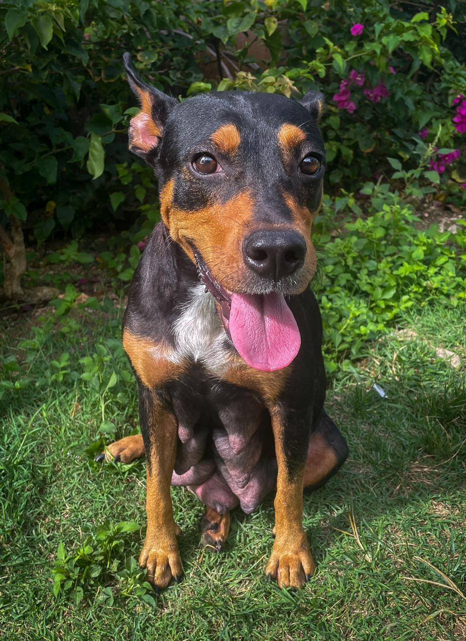 nala/photo-1756364752724-07.jpg