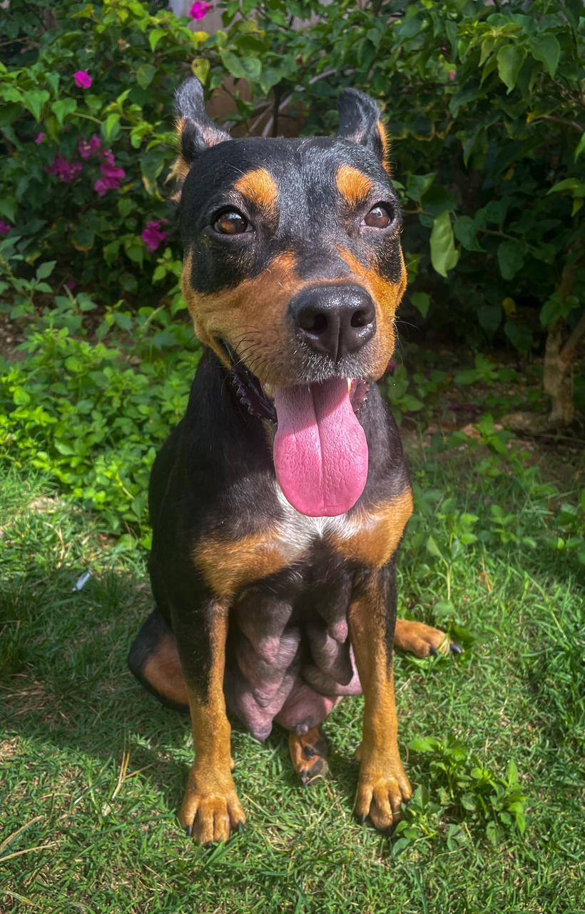 nala/photo-1756364753782-08.jpg