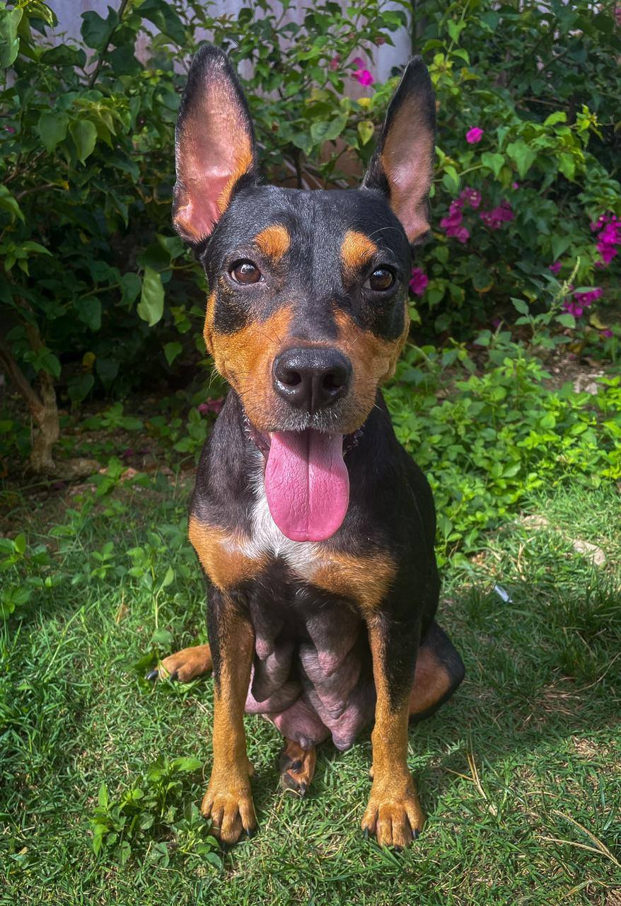 nala/photo-1756364754850-09.jpg