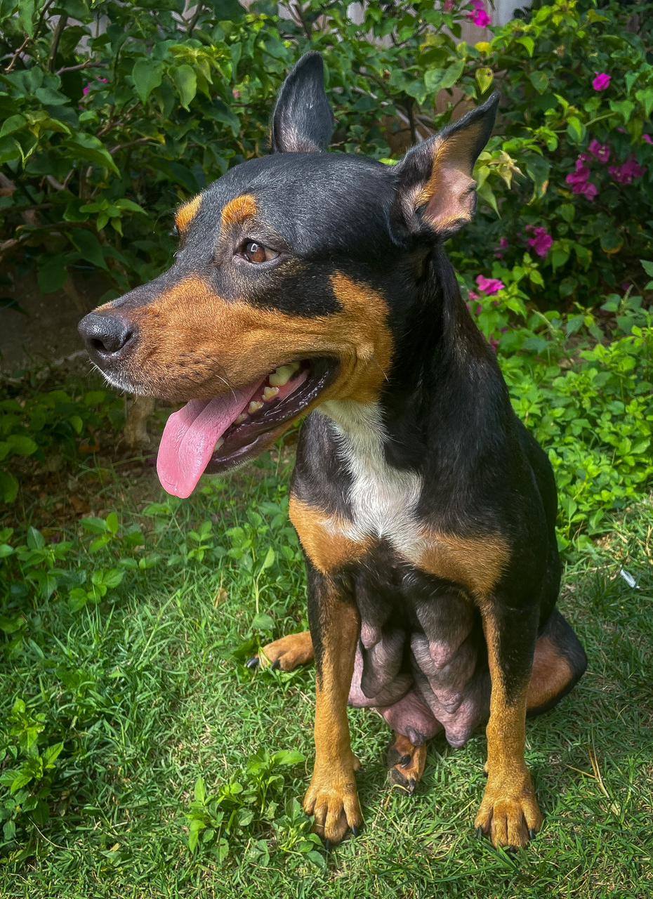 nala/photo-1756364755936-10.jpg