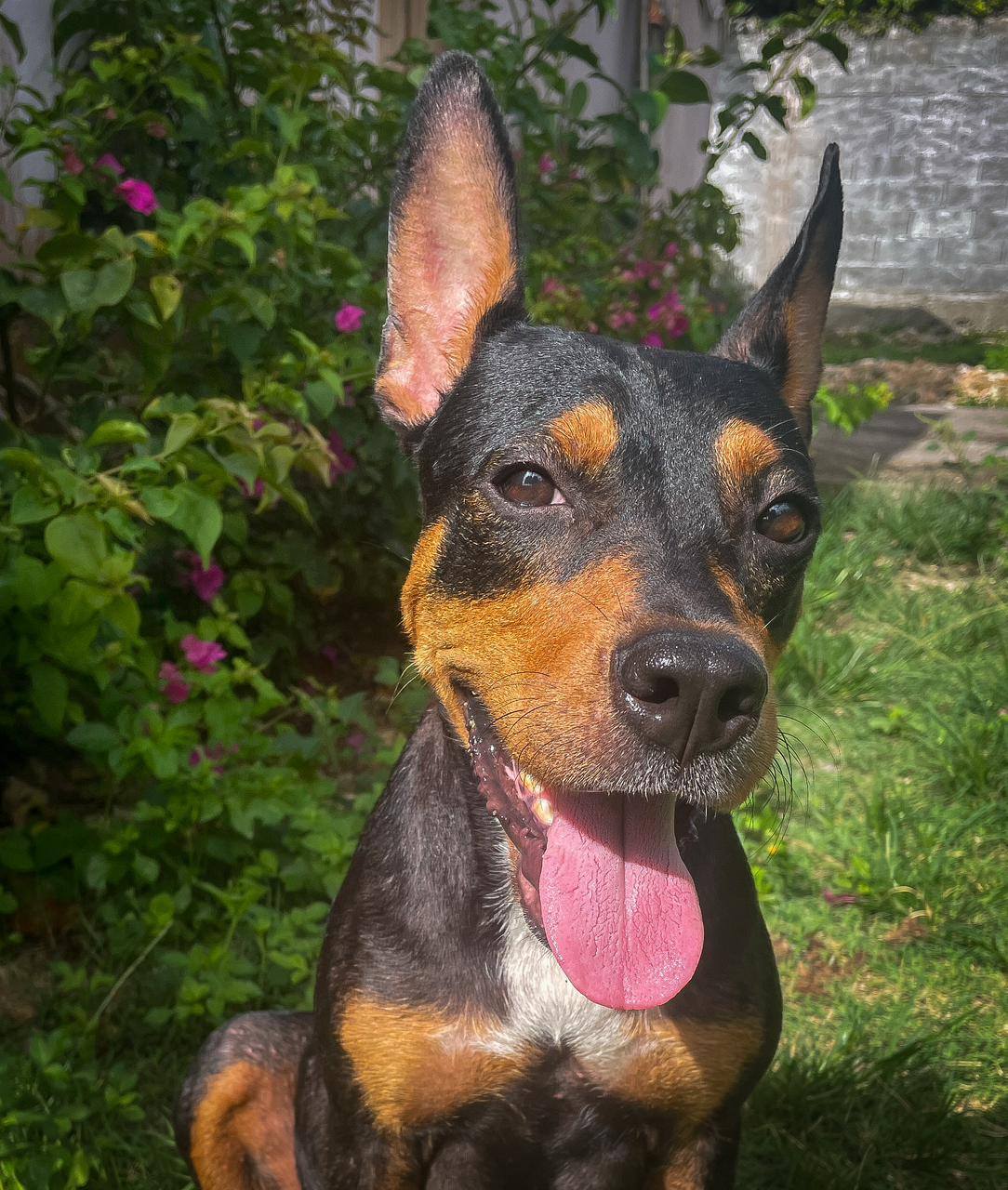 nala/photo-1756364756988-11.jpg