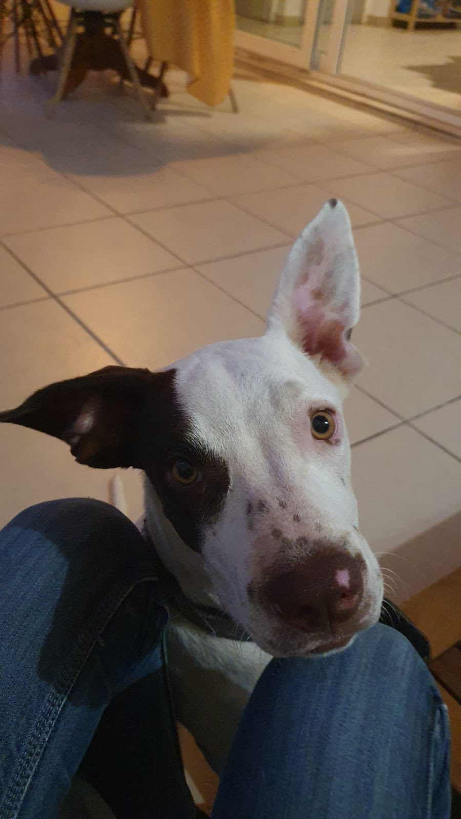 neo/photo-1756364938944-03.jpg