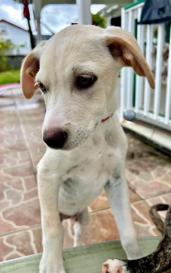 paco/photo-1746771818121-03.jpg