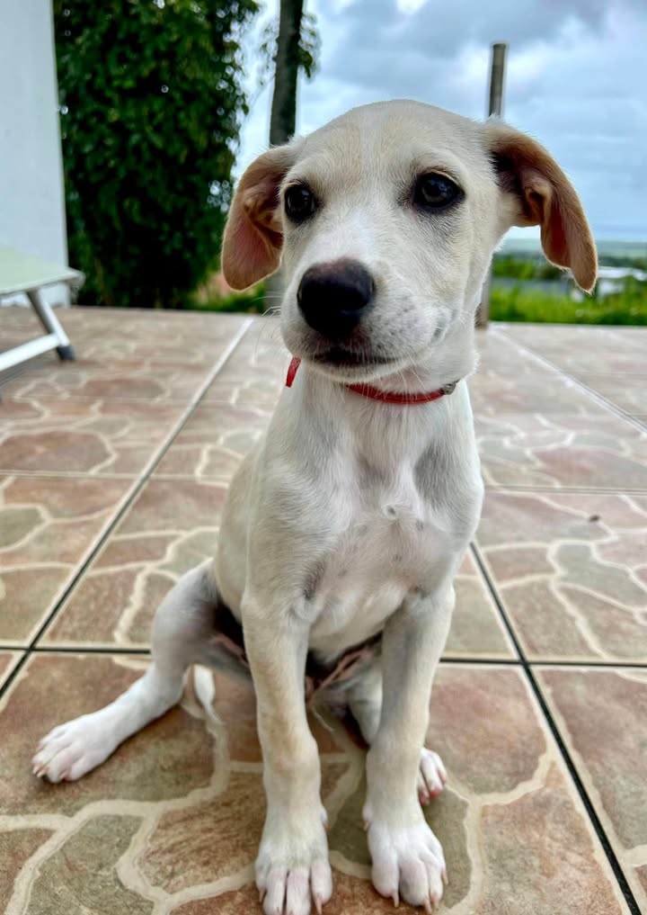 paco/photo-1746771818436-05.jpg