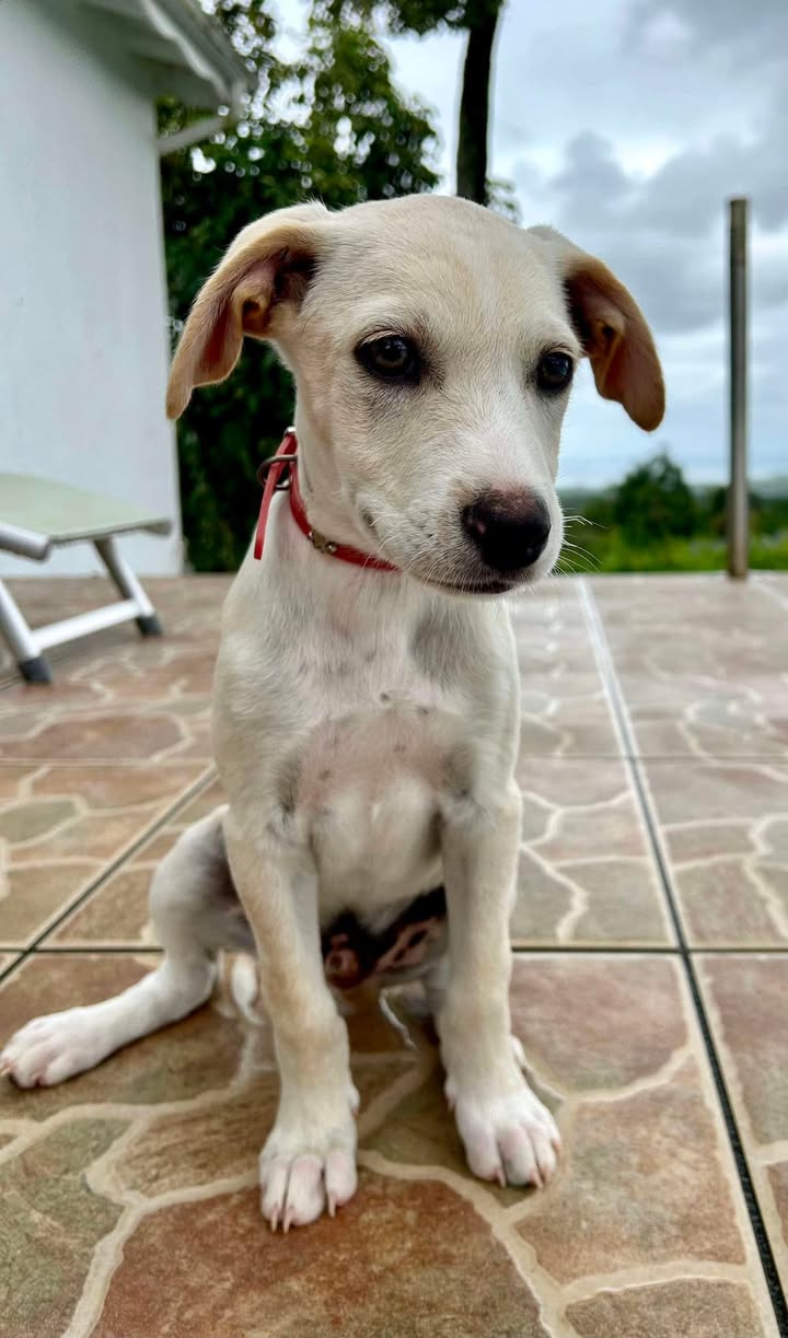 paco/photo-1746771818533-06.jpg
