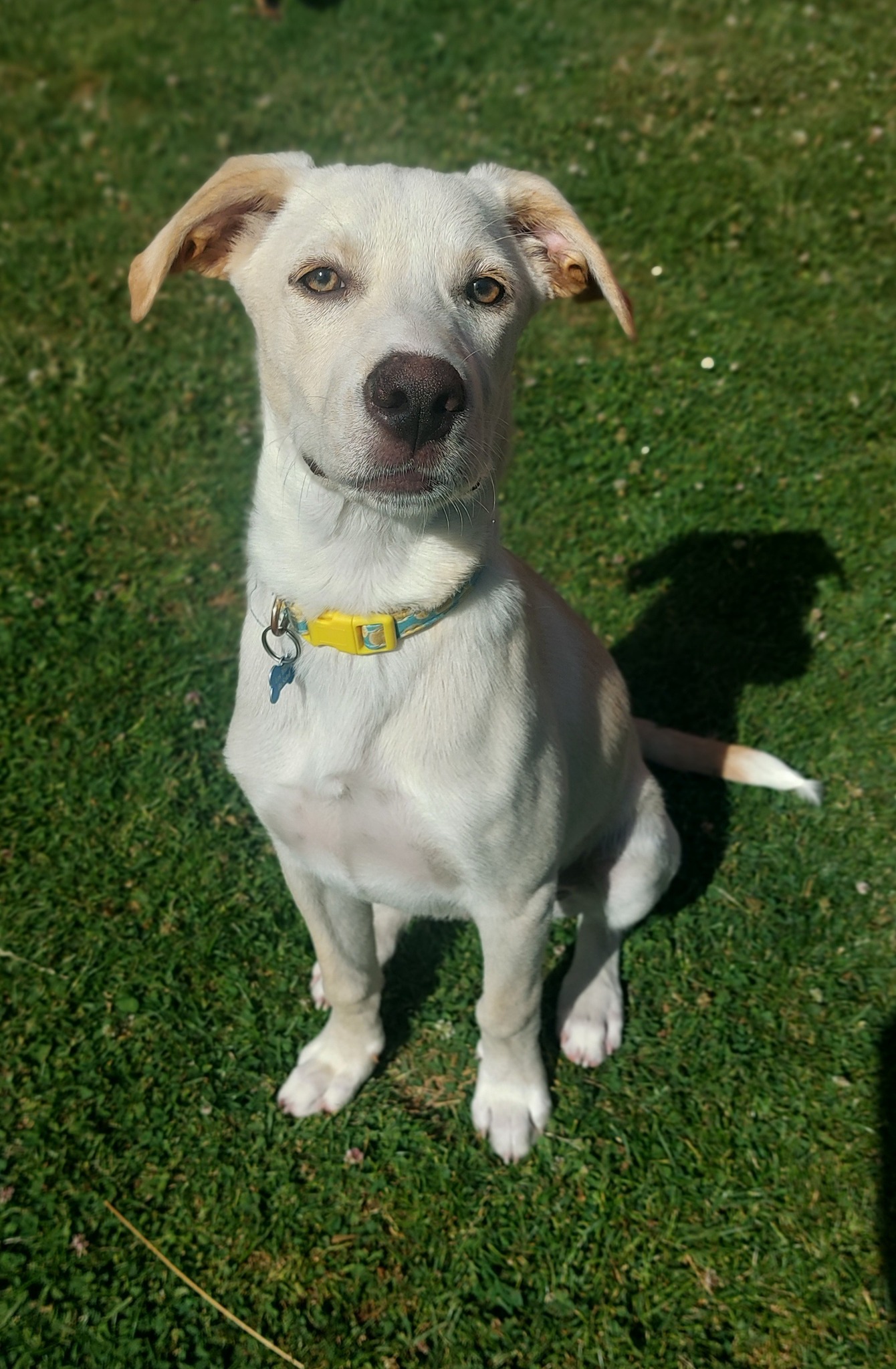 paco/photo-1751003916110-01.jpg