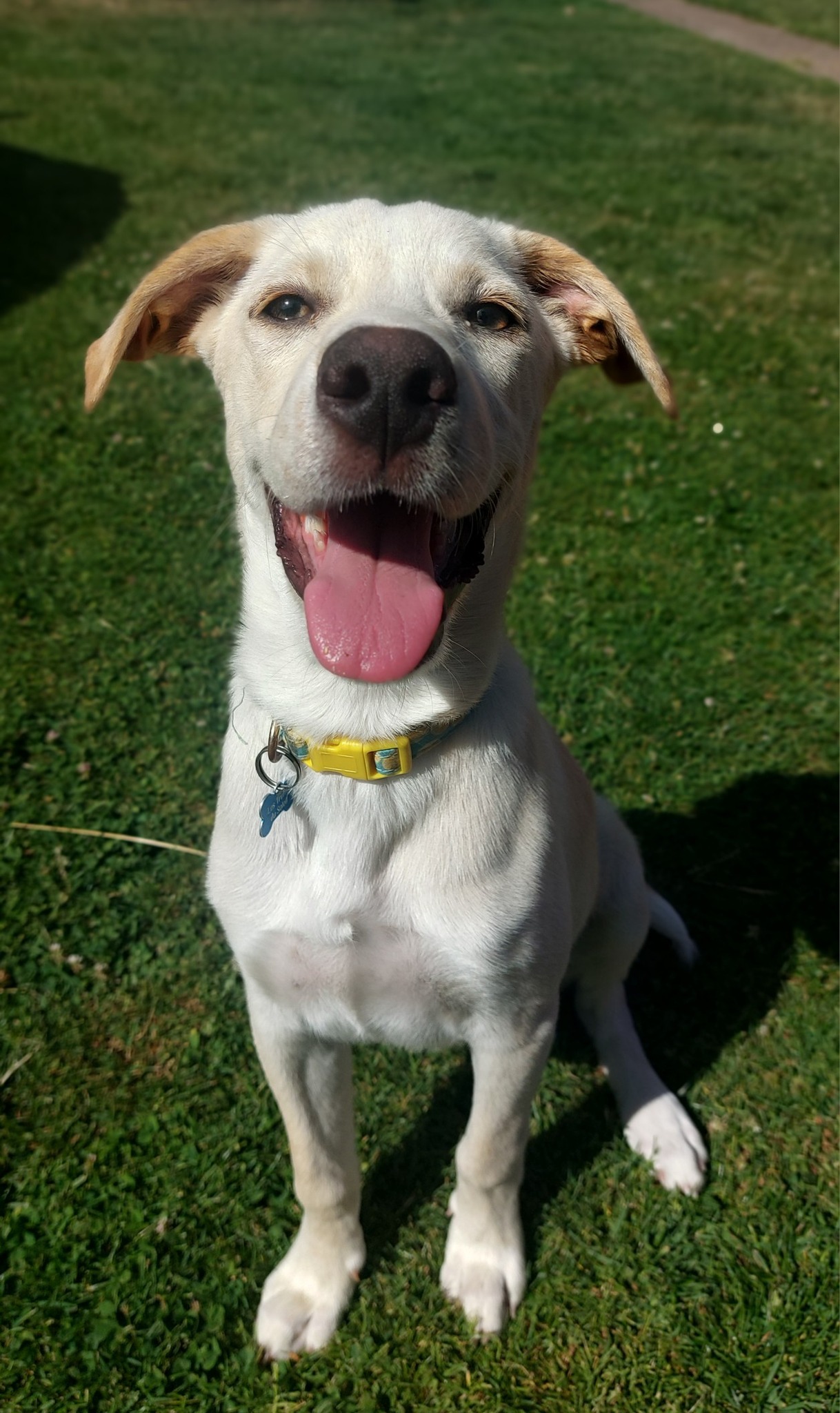 paco/photo-1751003919316-04.jpg
