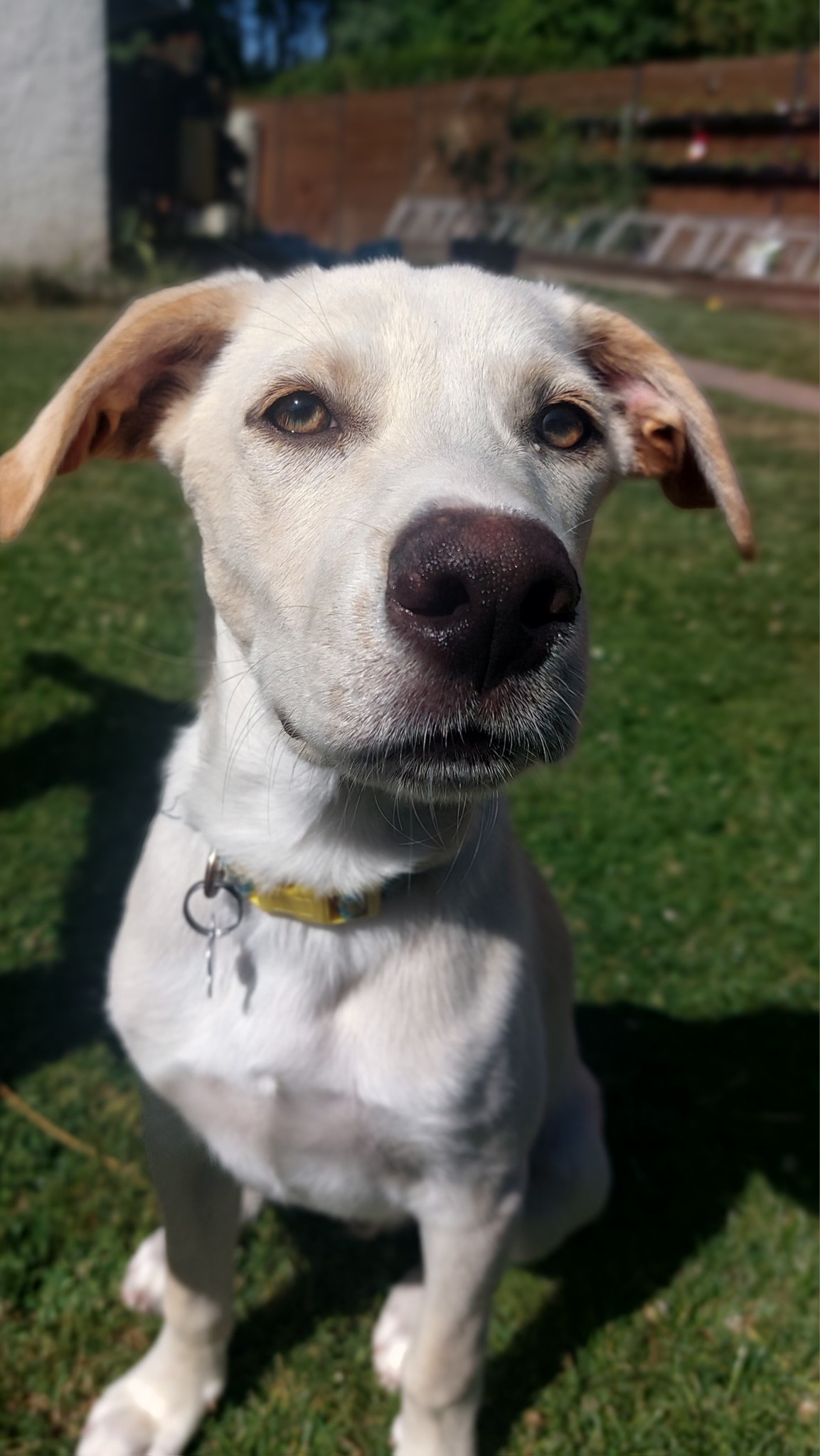 paco/photo-1751003920397-05.jpg