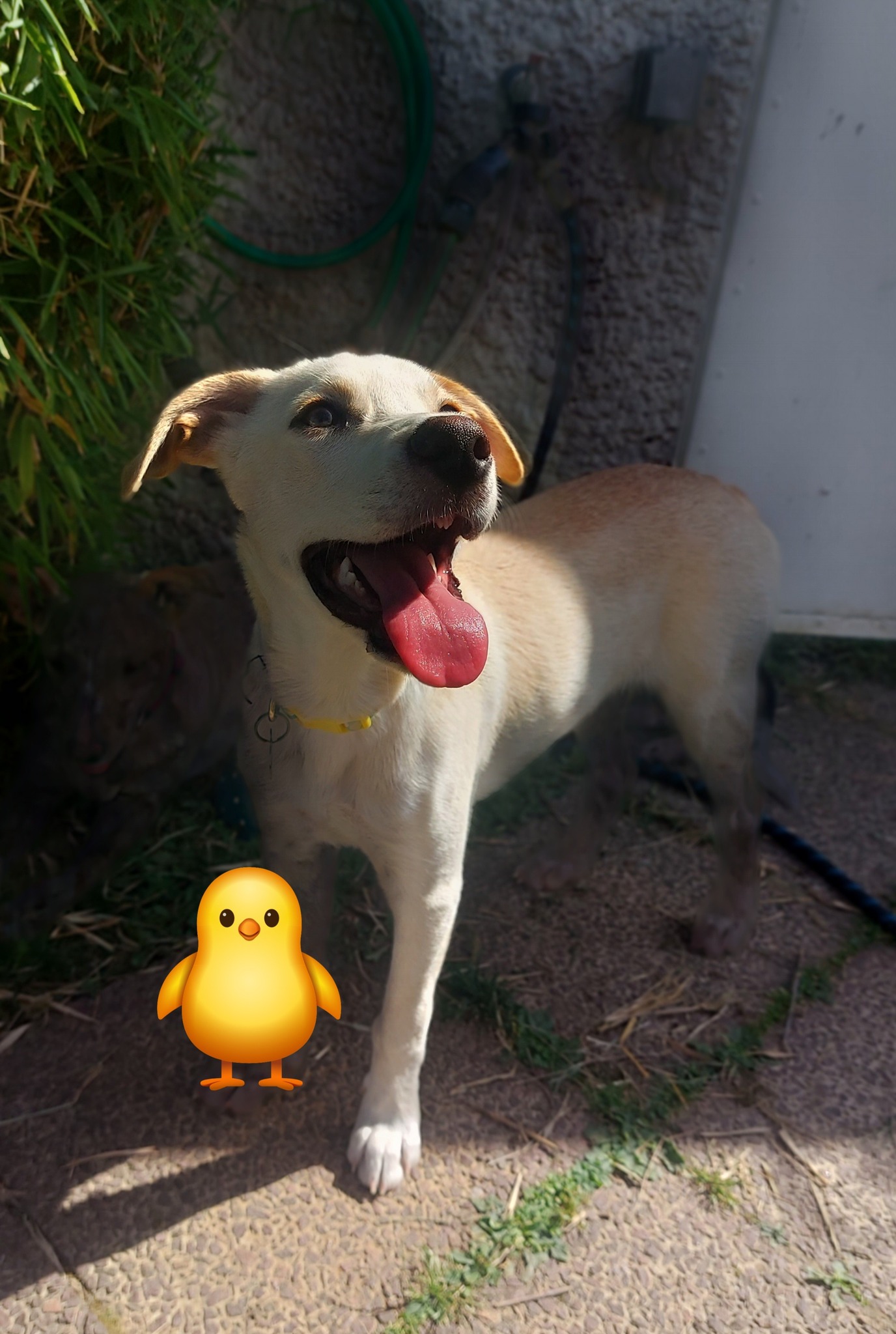 paco/photo-1751003922535-07.jpg