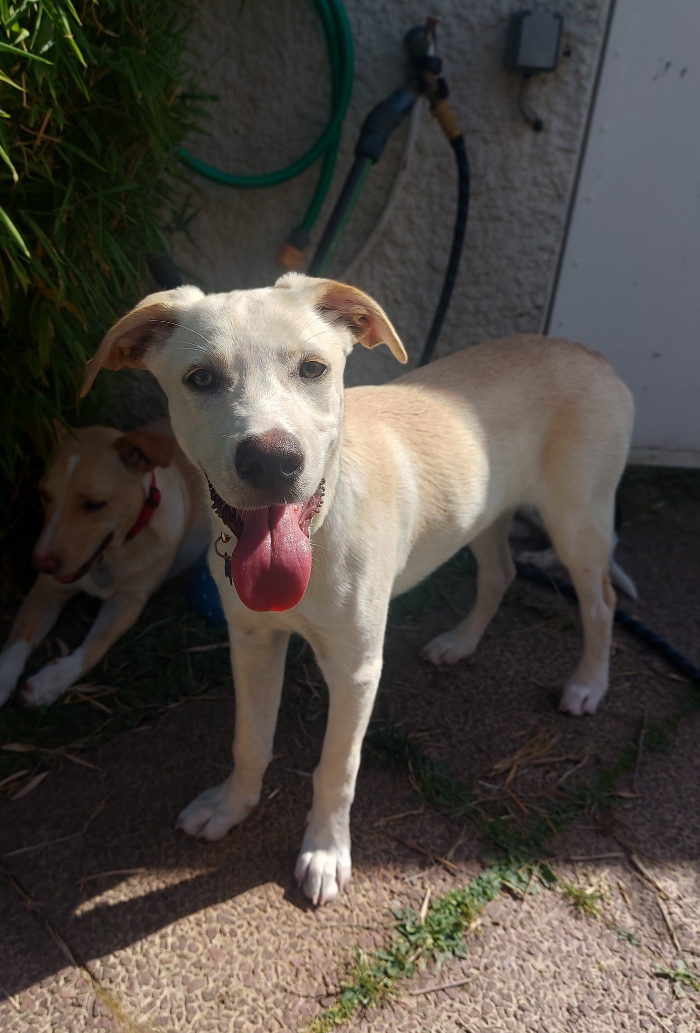 paco/photo-1751003923588-08.jpg