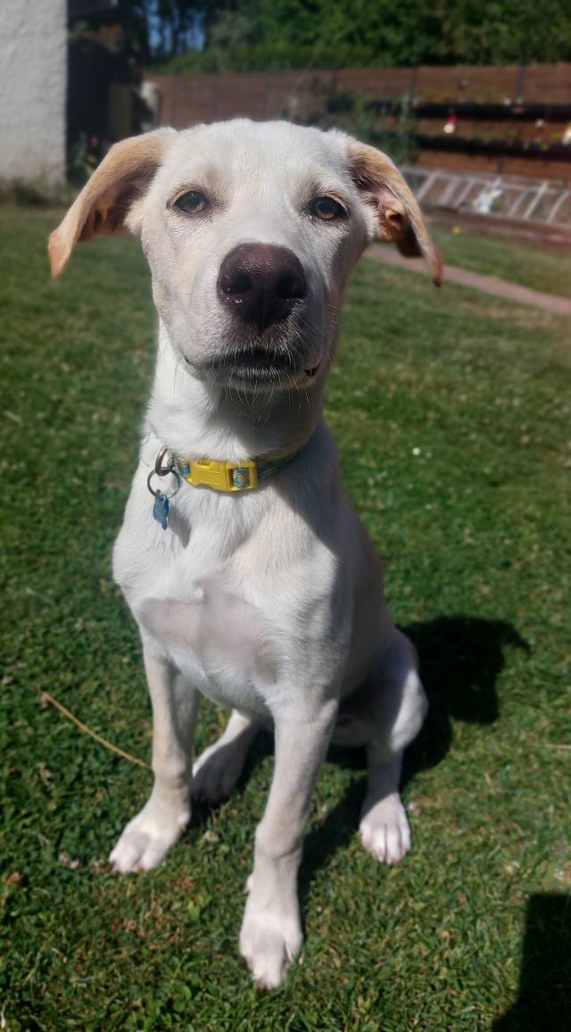 paco/photo-1751003925720-10.jpg