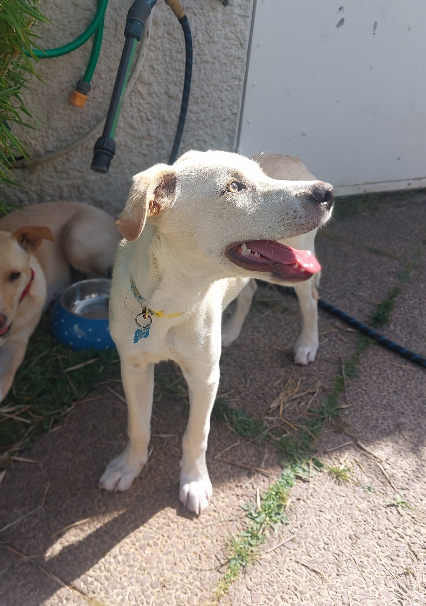 paco/photo-1751003927827-12.jpg