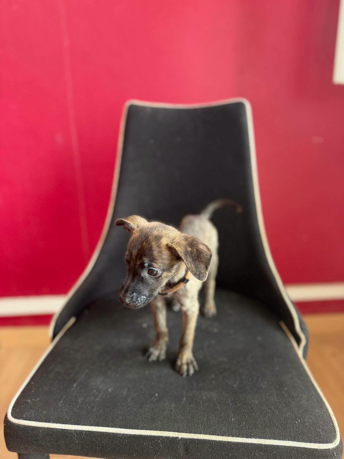 04-758765210_1124033723529991_3414129349634759056_n.png