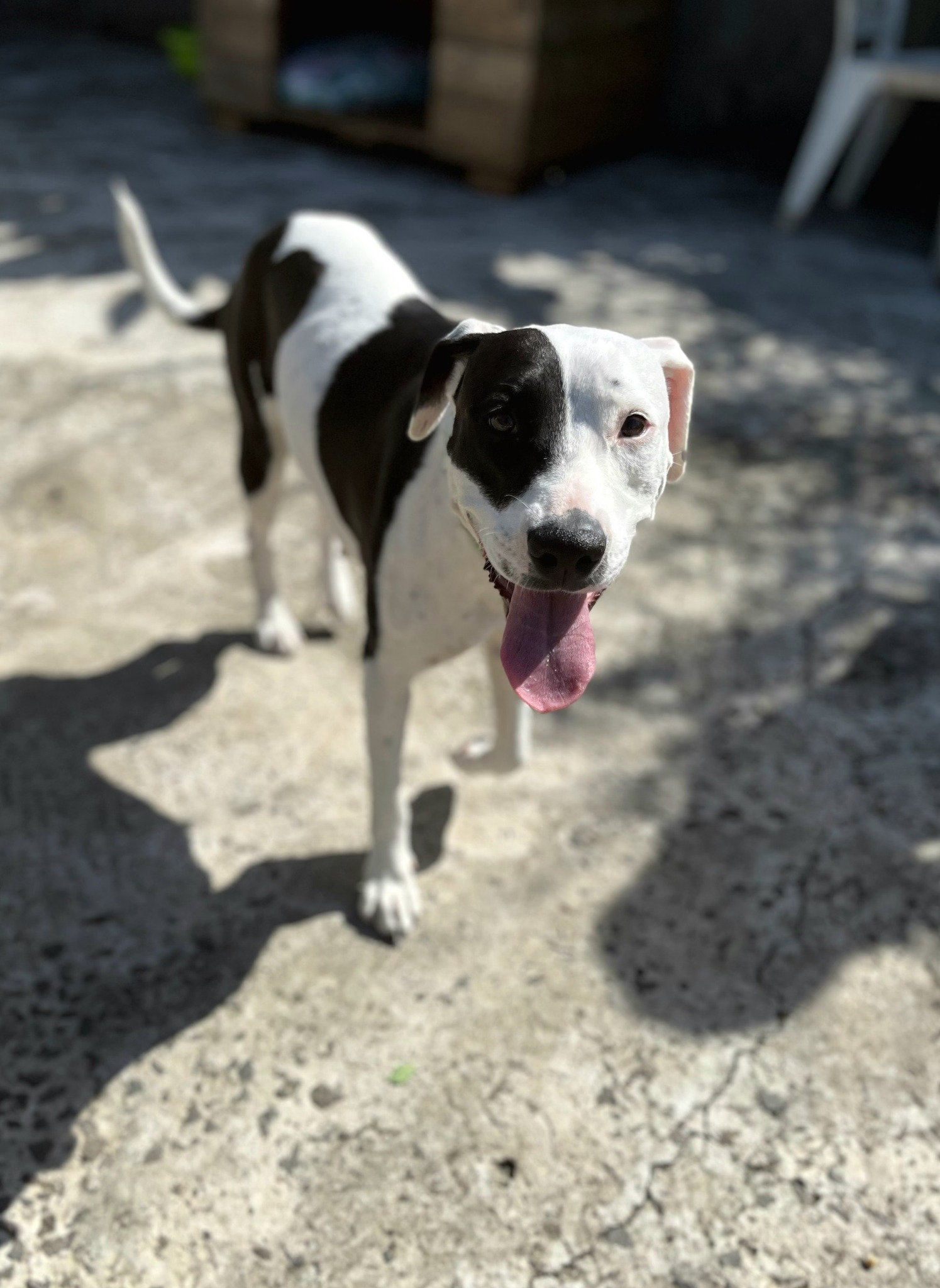 suki/photo-1756364923691-06.jpg