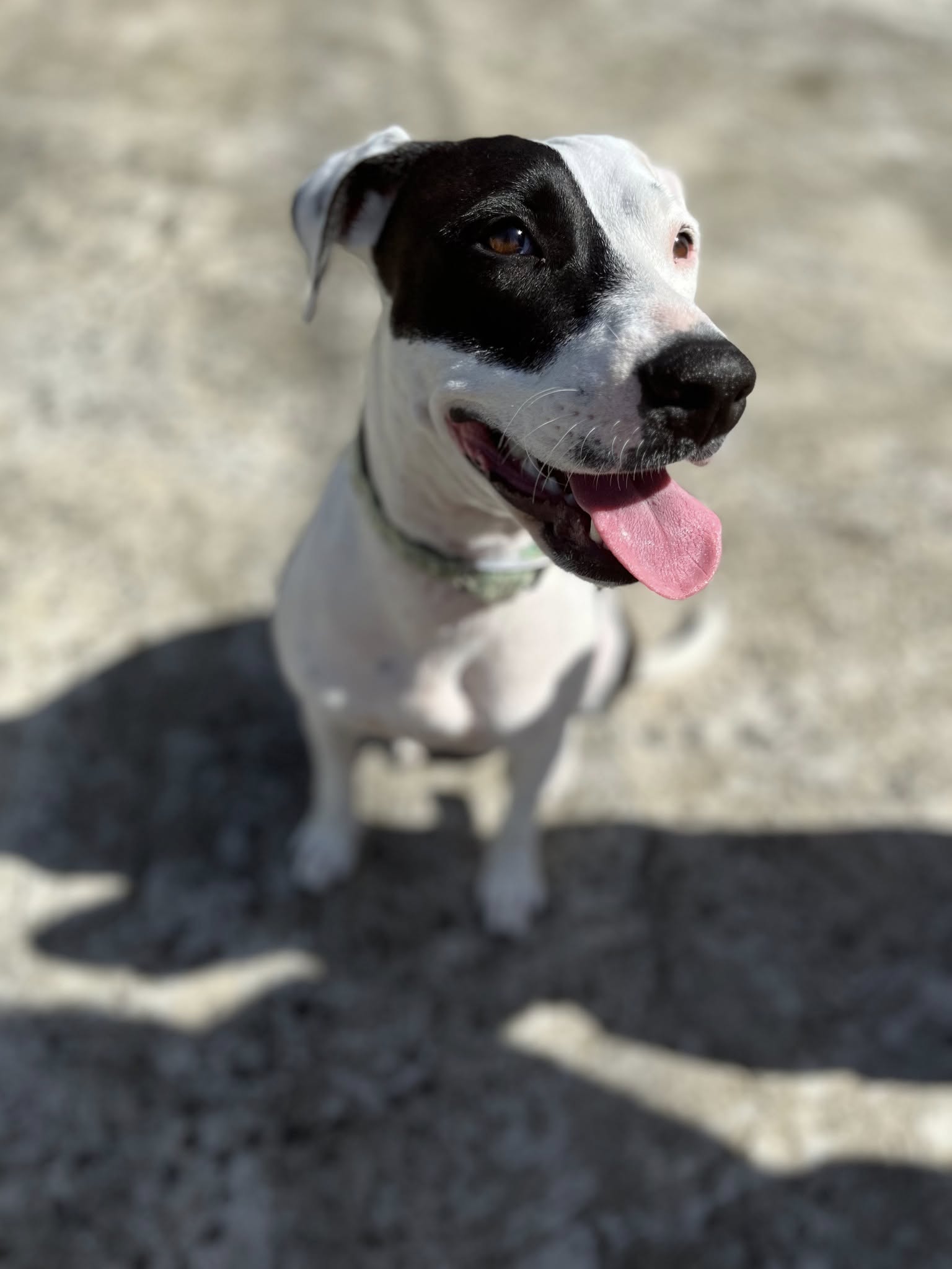 suki/photo-1756364924748-07.jpg