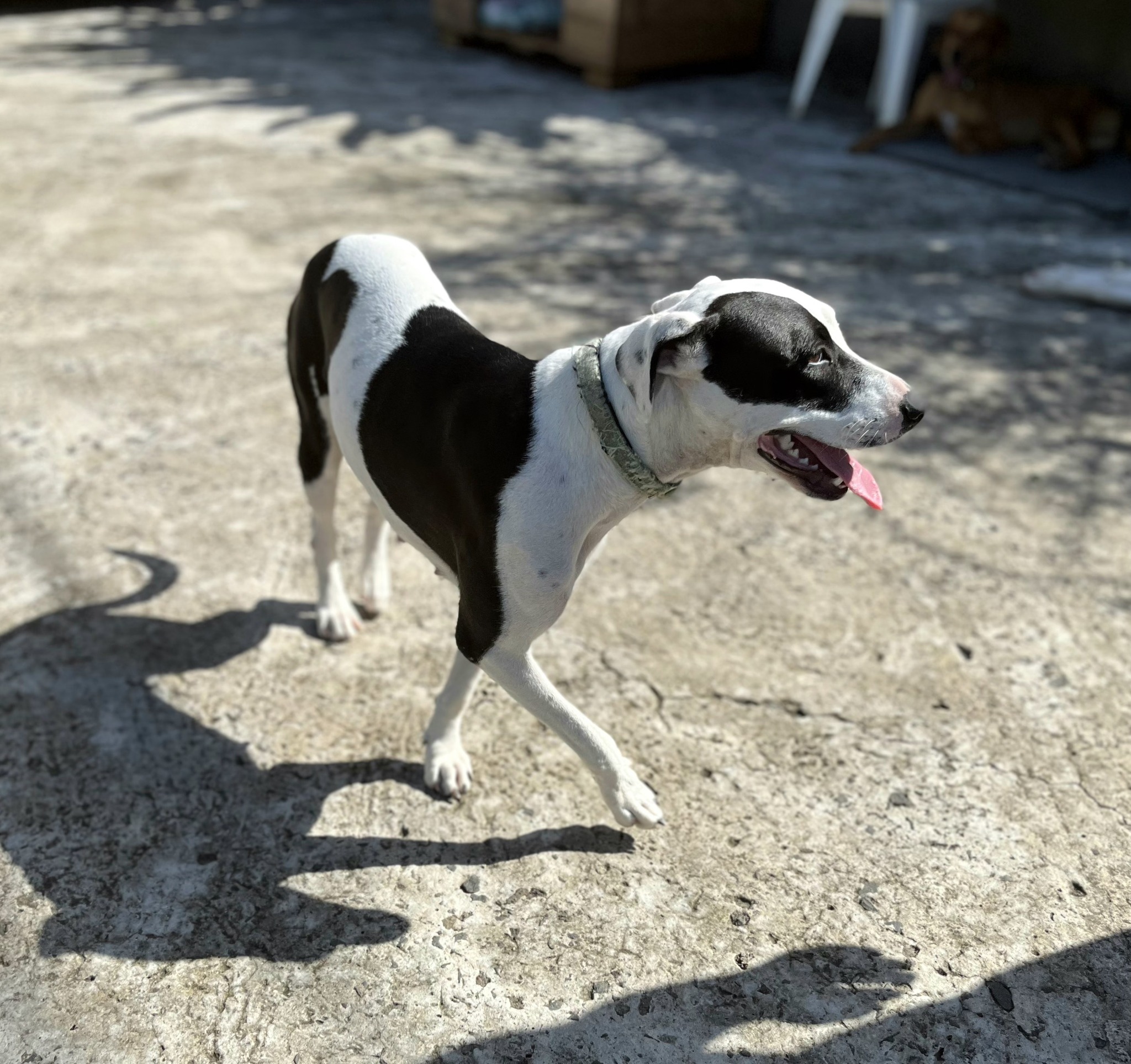 suki/photo-1756364929018-11.jpg
