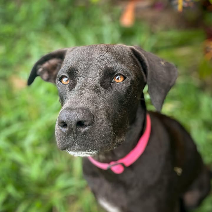 tiana/photo-1746771805496-04.jpg