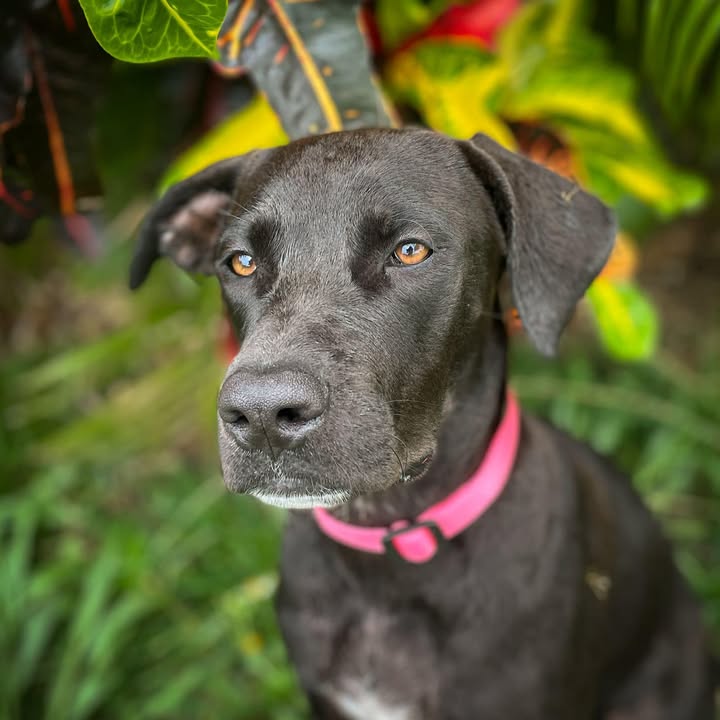 tiana/photo-1746771805885-06.jpg
