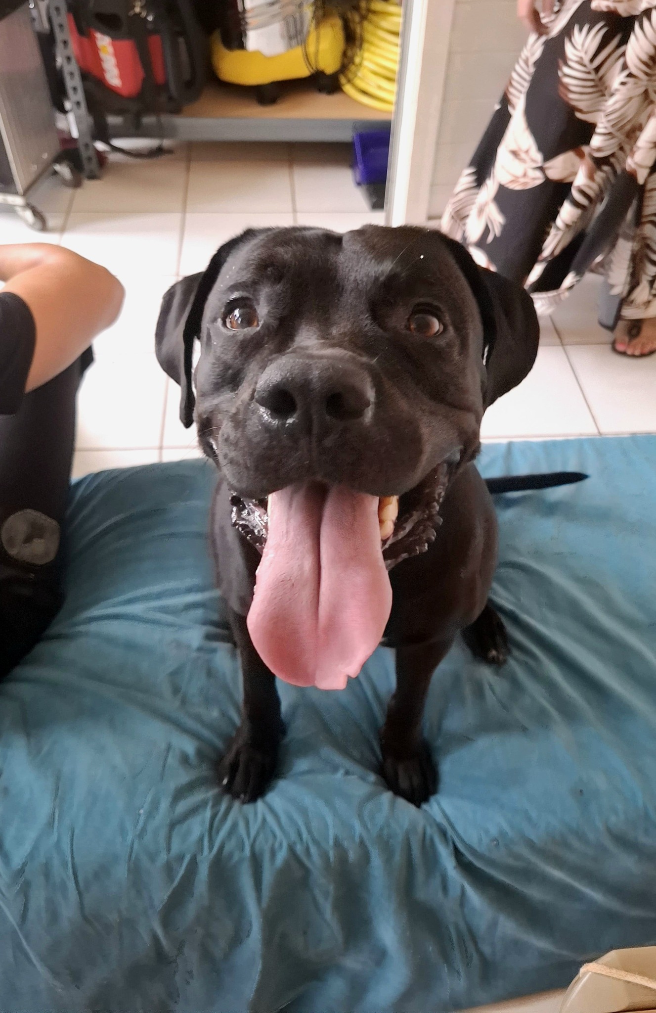 tito/photo-1756364849419-03.jpg