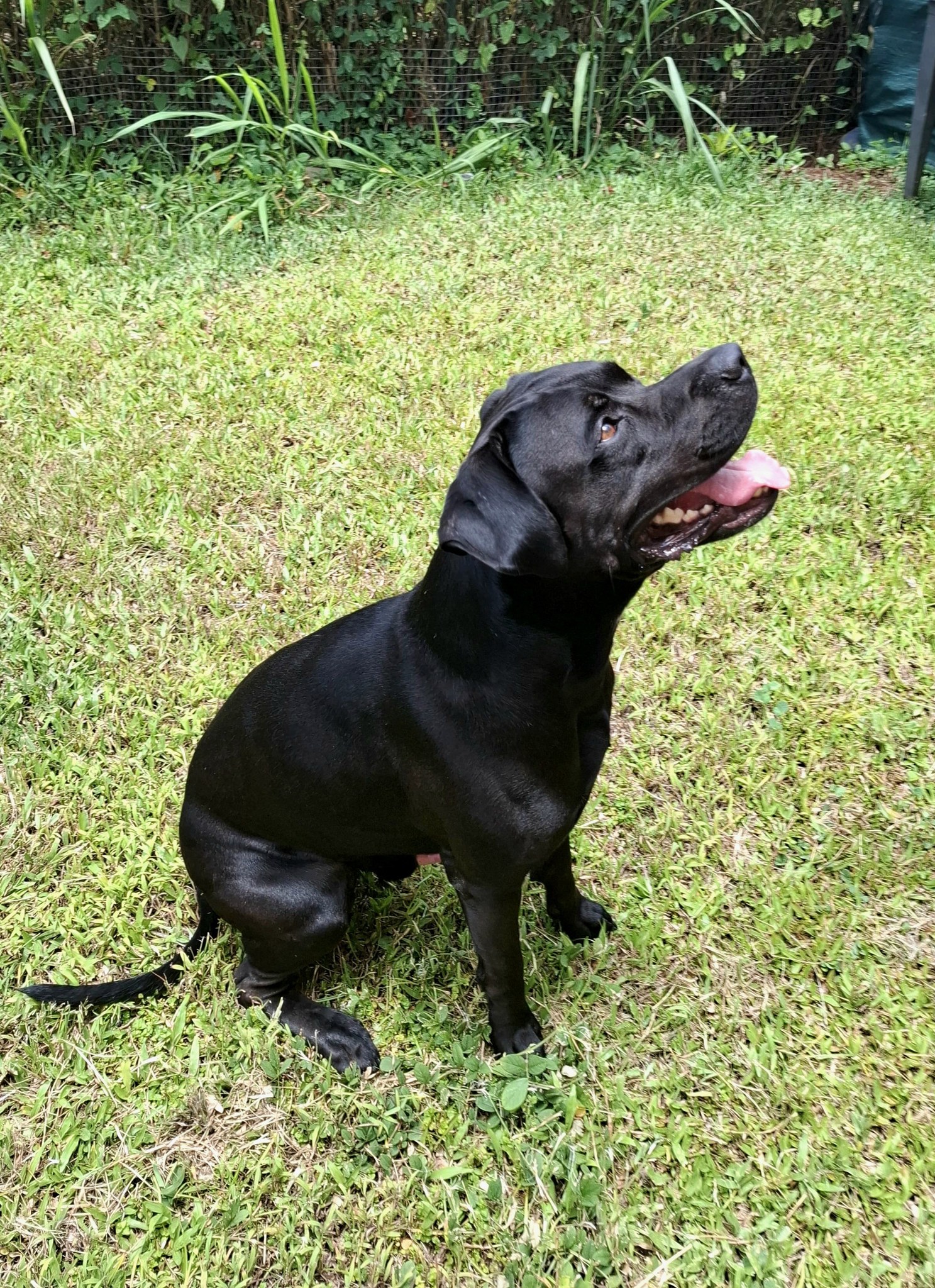 tito/photo-1756364850501-04.jpg