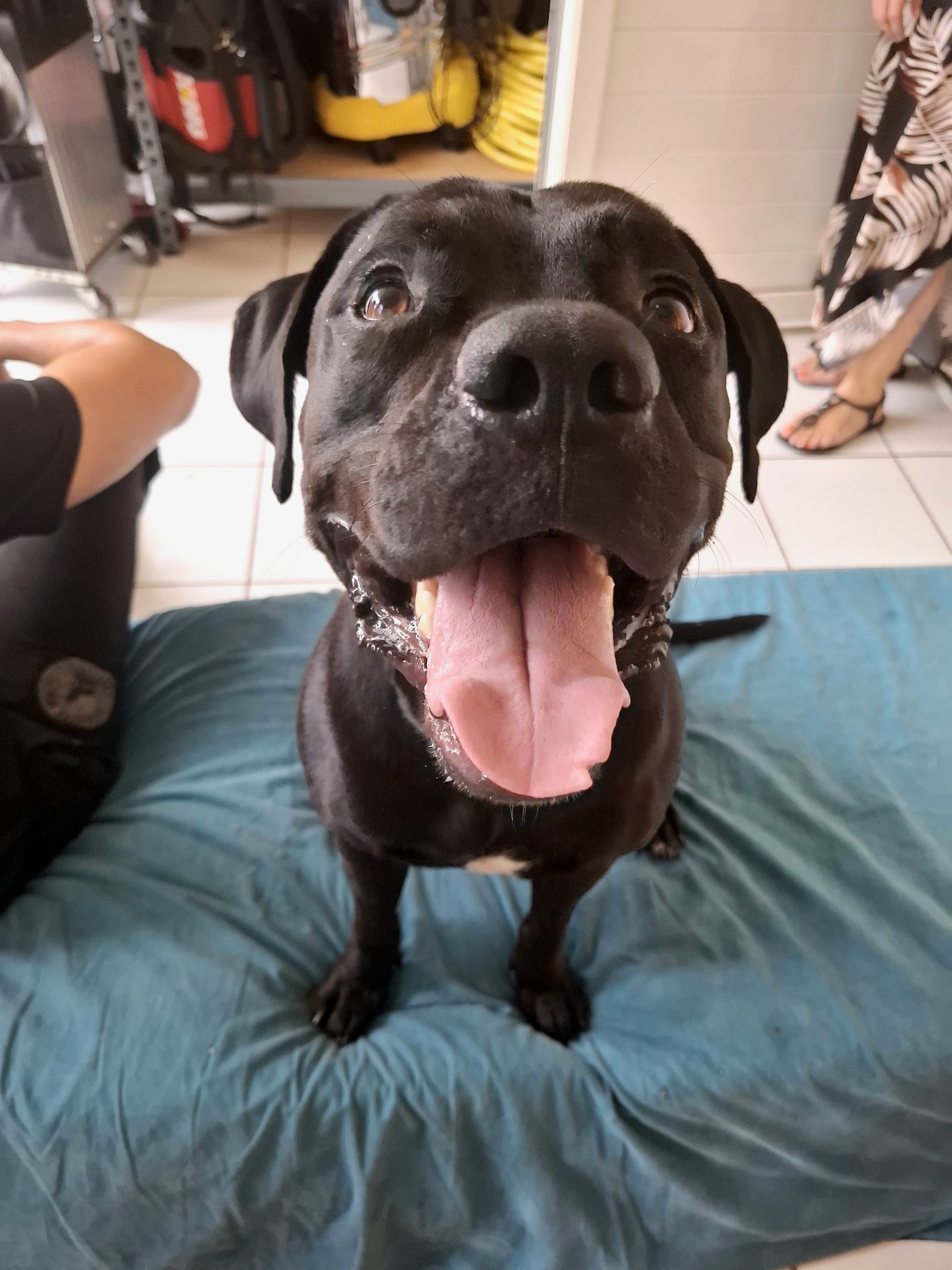 tito/photo-1756364851570-05.jpg