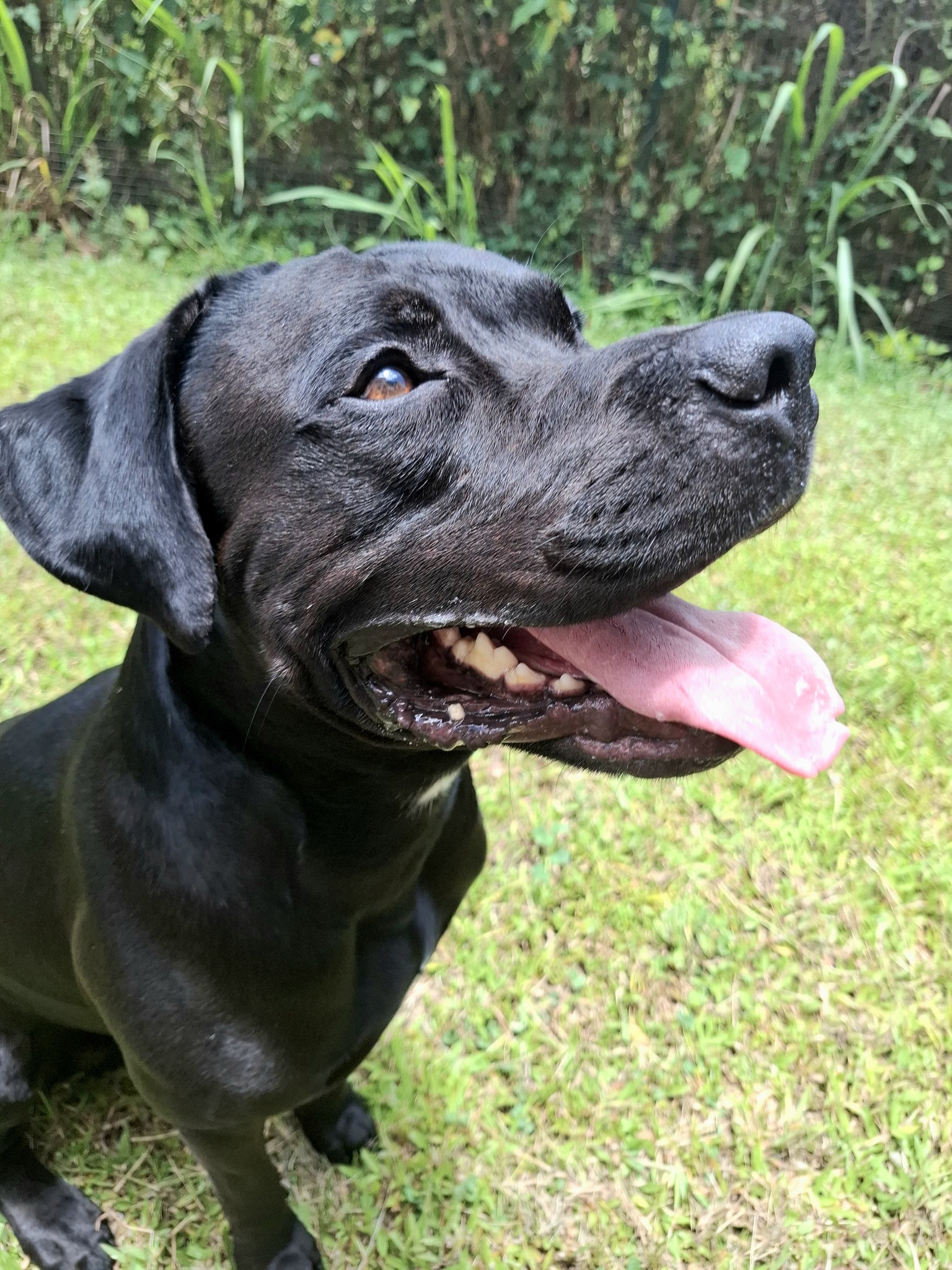 tito/photo-1756364853733-07.jpg