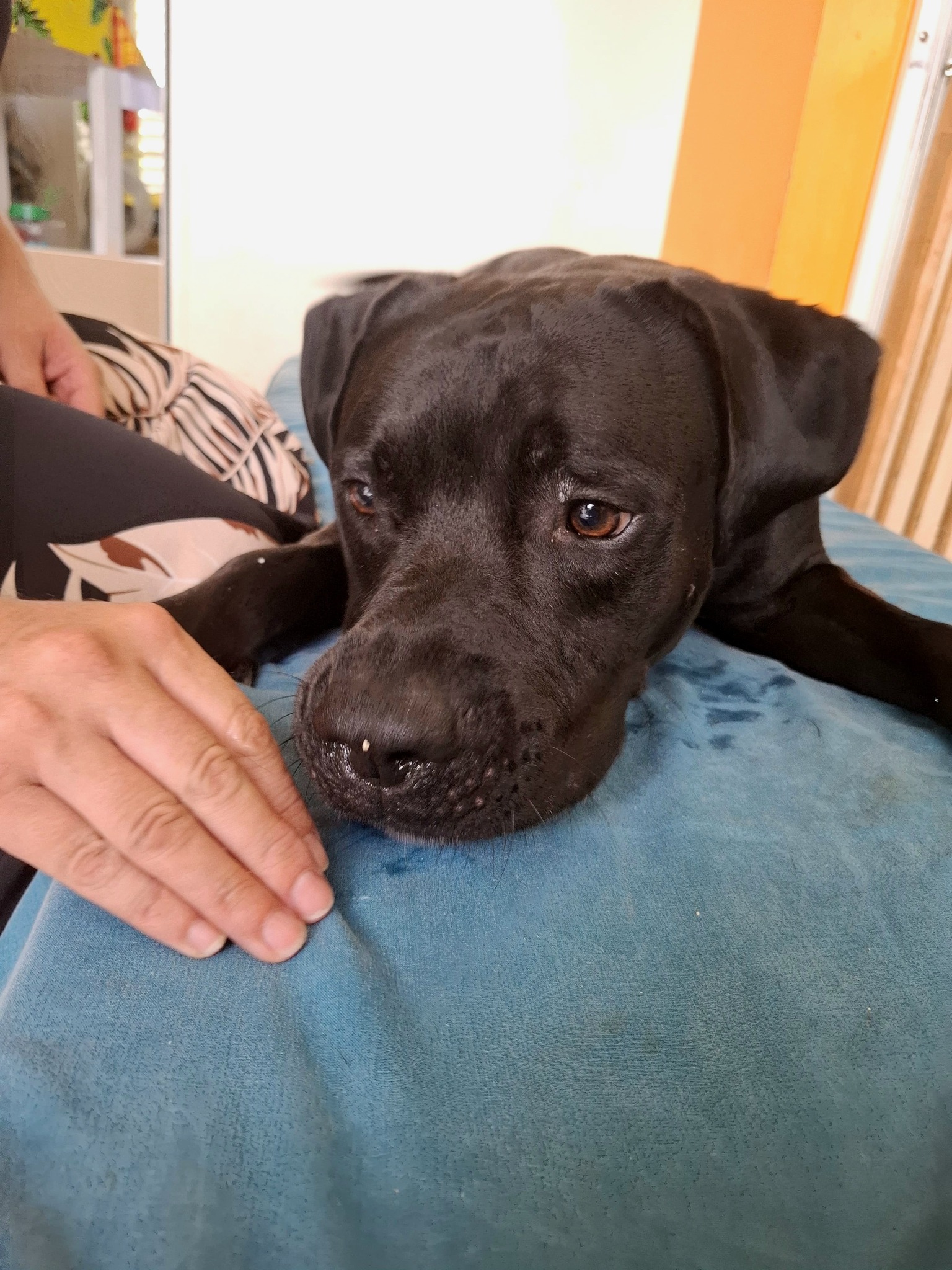 tito/photo-1756364854812-08.jpg