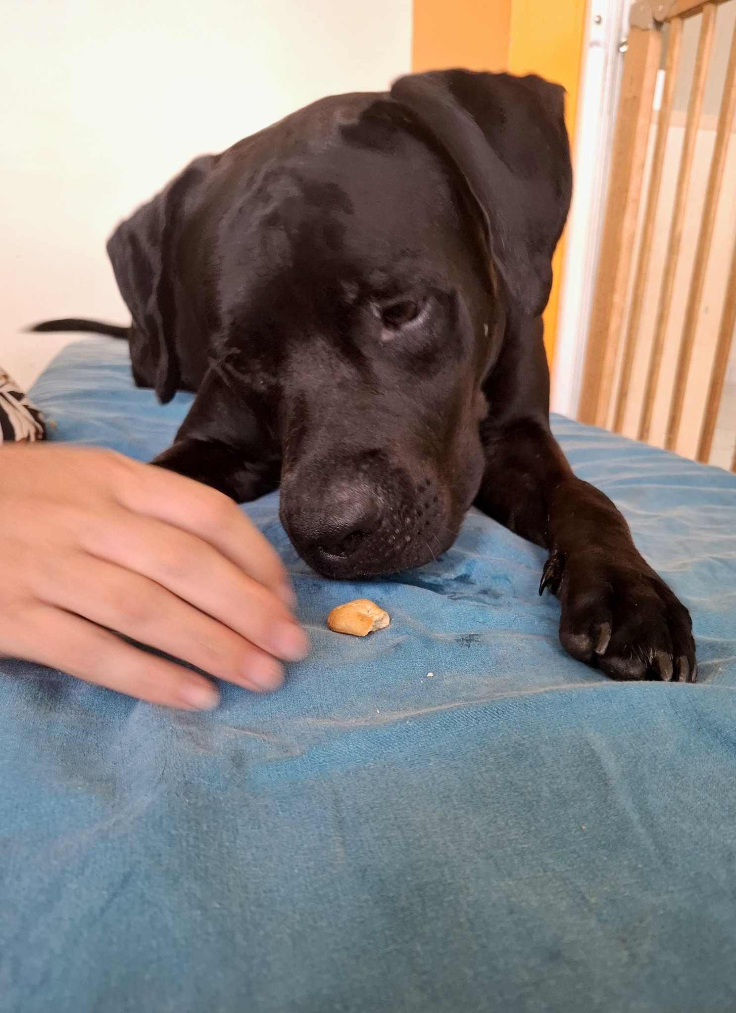 tito/photo-1756364855876-09.jpg