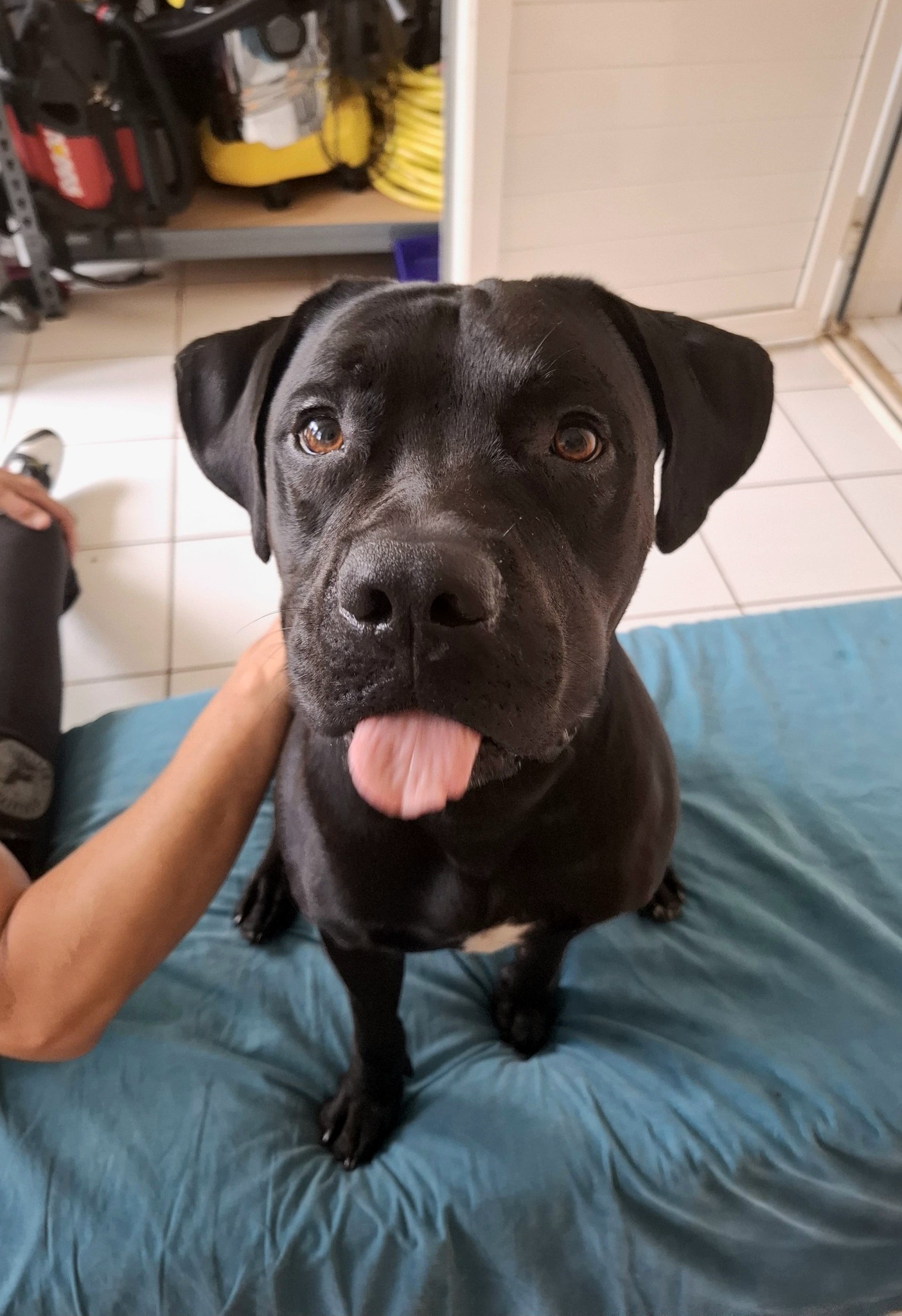 tito/photo-1756364859071-12.jpg