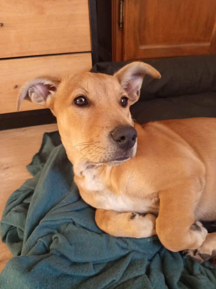 winston/photo-1746771813109-09.jpg