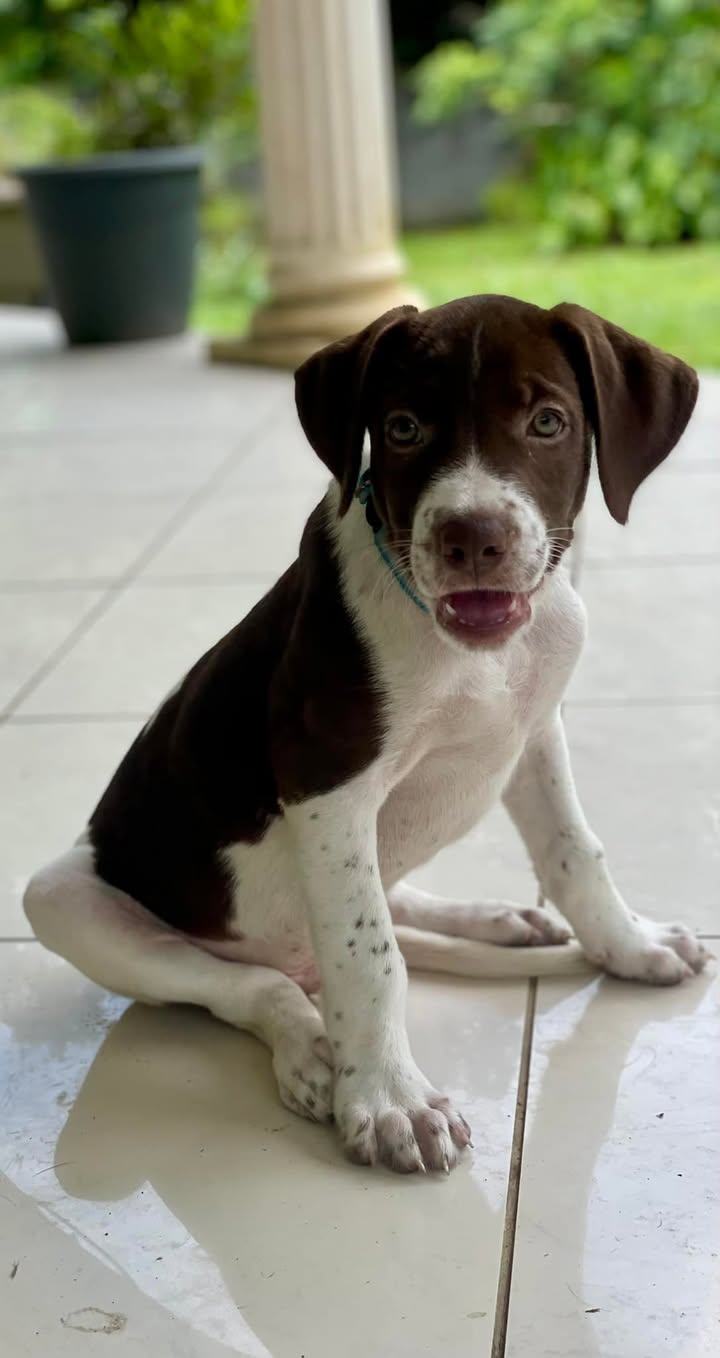 woopy/photo-1746771782576-05.jpg