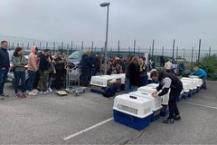 photo fret d'Orly #5