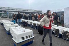 photo fret d'Orly #8